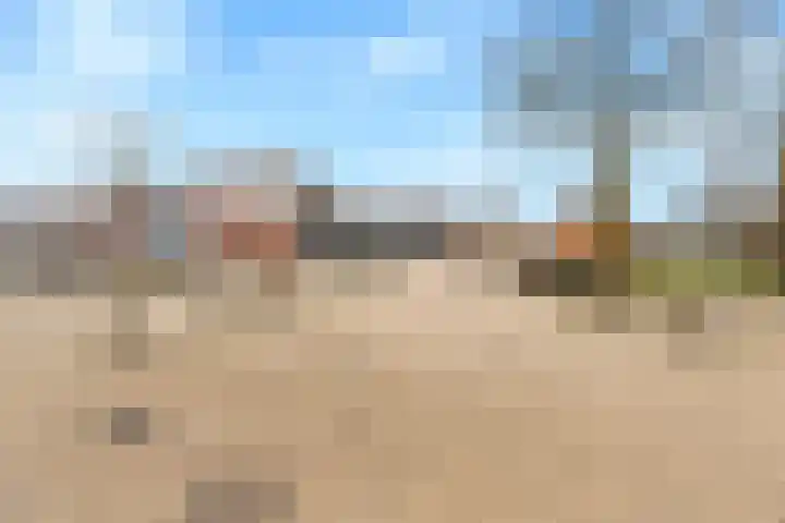 Zonnehout 37 Houten thumbnail 40