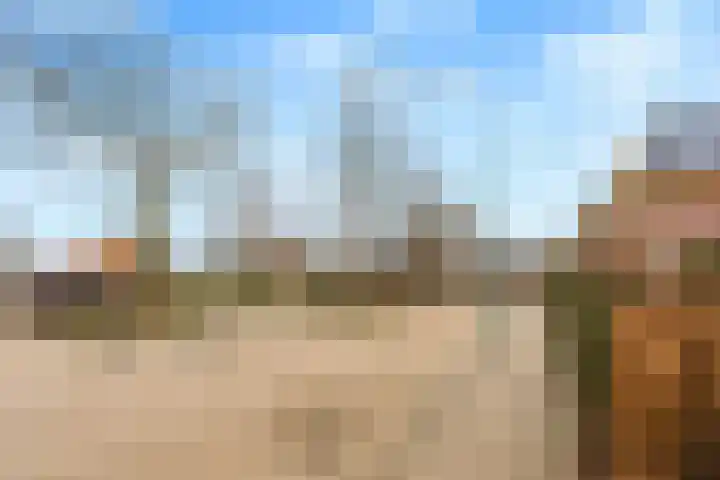 Zonnehout 37 Houten thumbnail 41