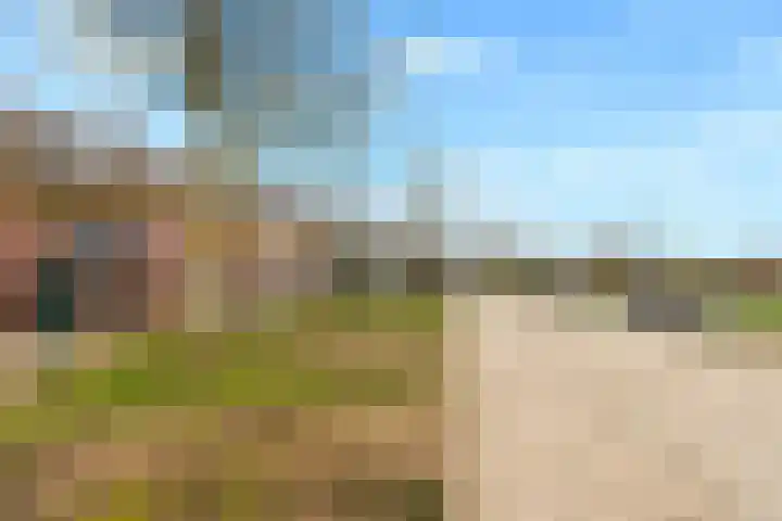 Zonnehout 37 Houten thumbnail 42