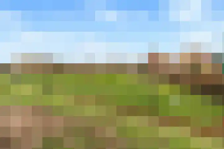 Zonnehout 37 Houten thumbnail 43