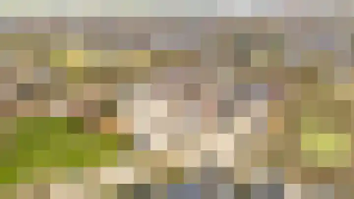 Zonnehout 37 Houten thumbnail 44