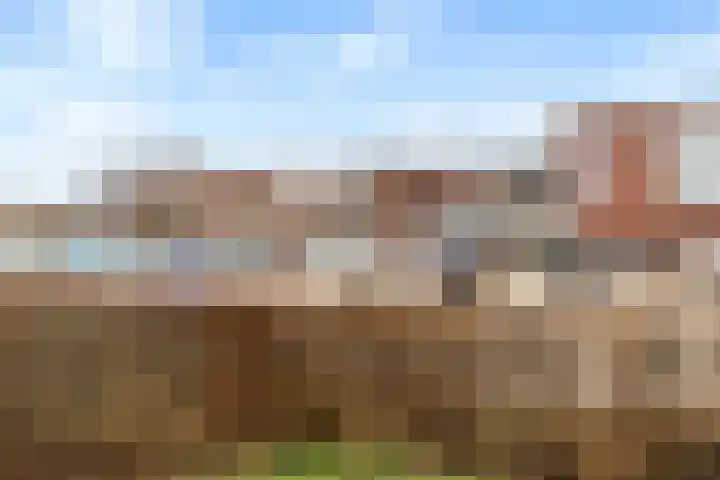 Zonnehout 37 Houten thumbnail 45