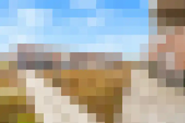 Zonnehout 37 Houten thumbnail 5
