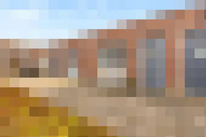 Zonnehout 37 Houten thumbnail 8