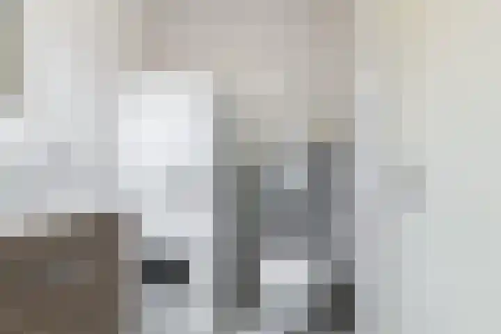 Zonnehout 45 Houten thumbnail 17