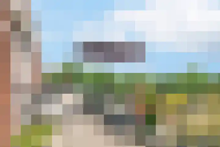 Zonnehout 45 Houten thumbnail 19