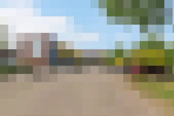 Zonnehout 45 Houten thumbnail 22