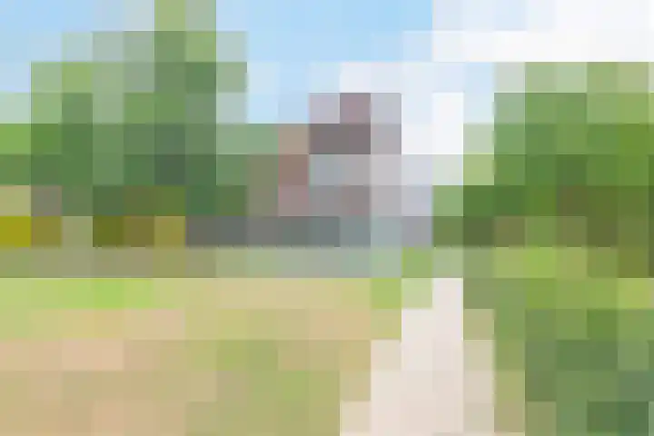 Zonnehout 45 Houten thumbnail 23