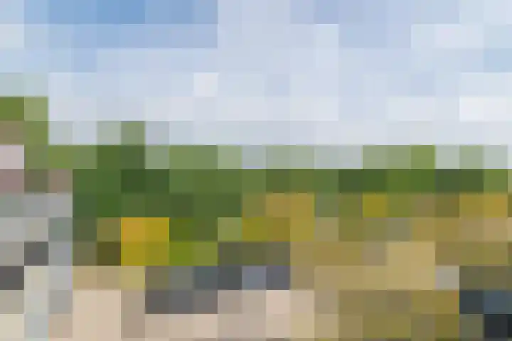 Zonnehout 45 Houten thumbnail 24