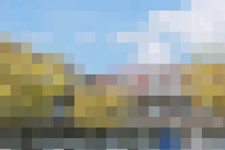 Zonnehout 45 Houten thumbnail 25