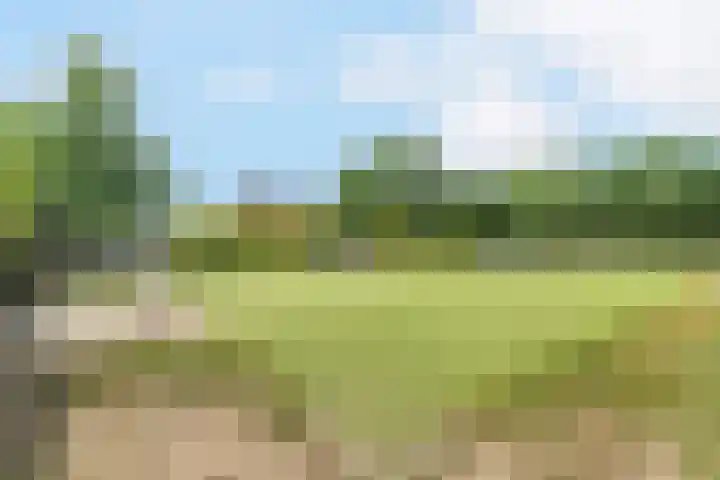 Zonnehout 45 Houten thumbnail 26