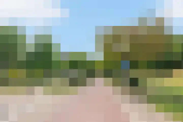 Zonnehout 45 Houten thumbnail 27