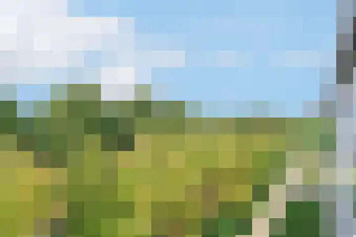 Zonnehout 45 Houten thumbnail 28