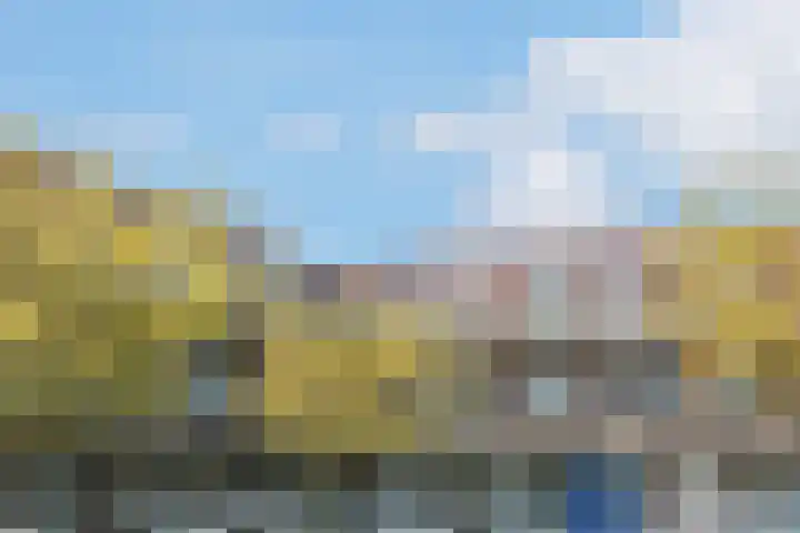 Zonnehout 45 Houten thumbnail 31