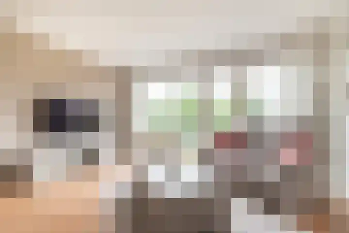 Zonnehout 45 Houten thumbnail 5