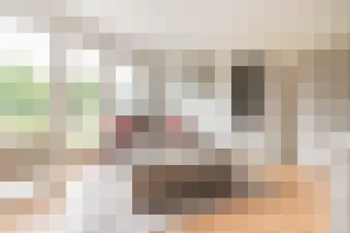 Zonnehout 45 Houten thumbnail 6