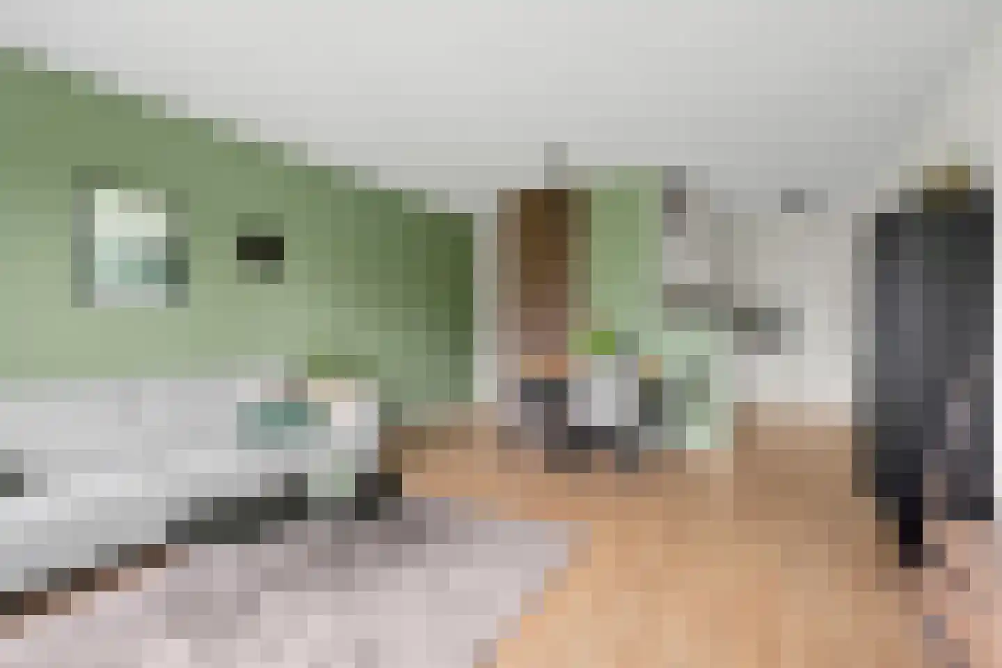 Zonnehout 47 Houten thumbnail 12