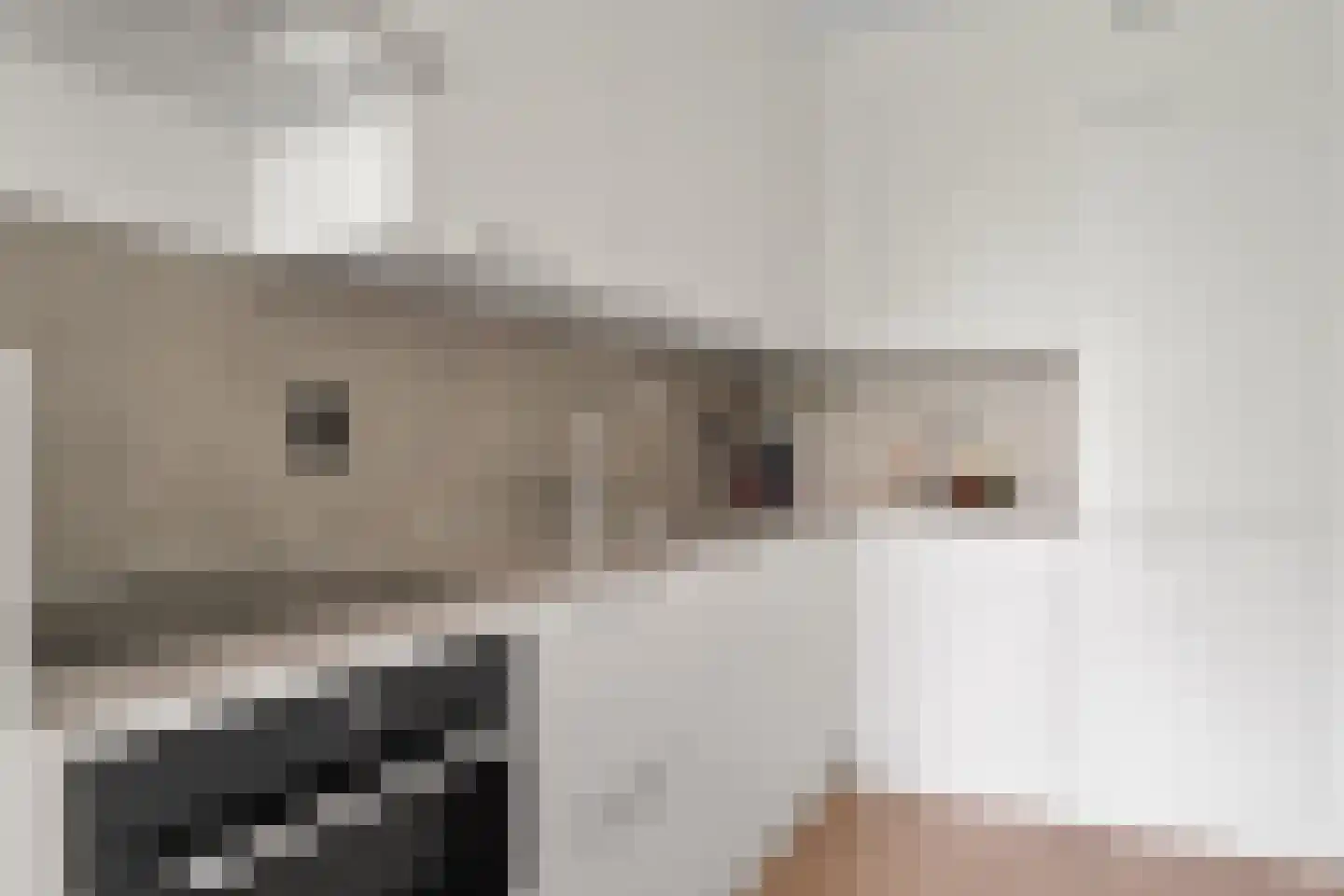 Zonnehout 47 Houten thumbnail 17