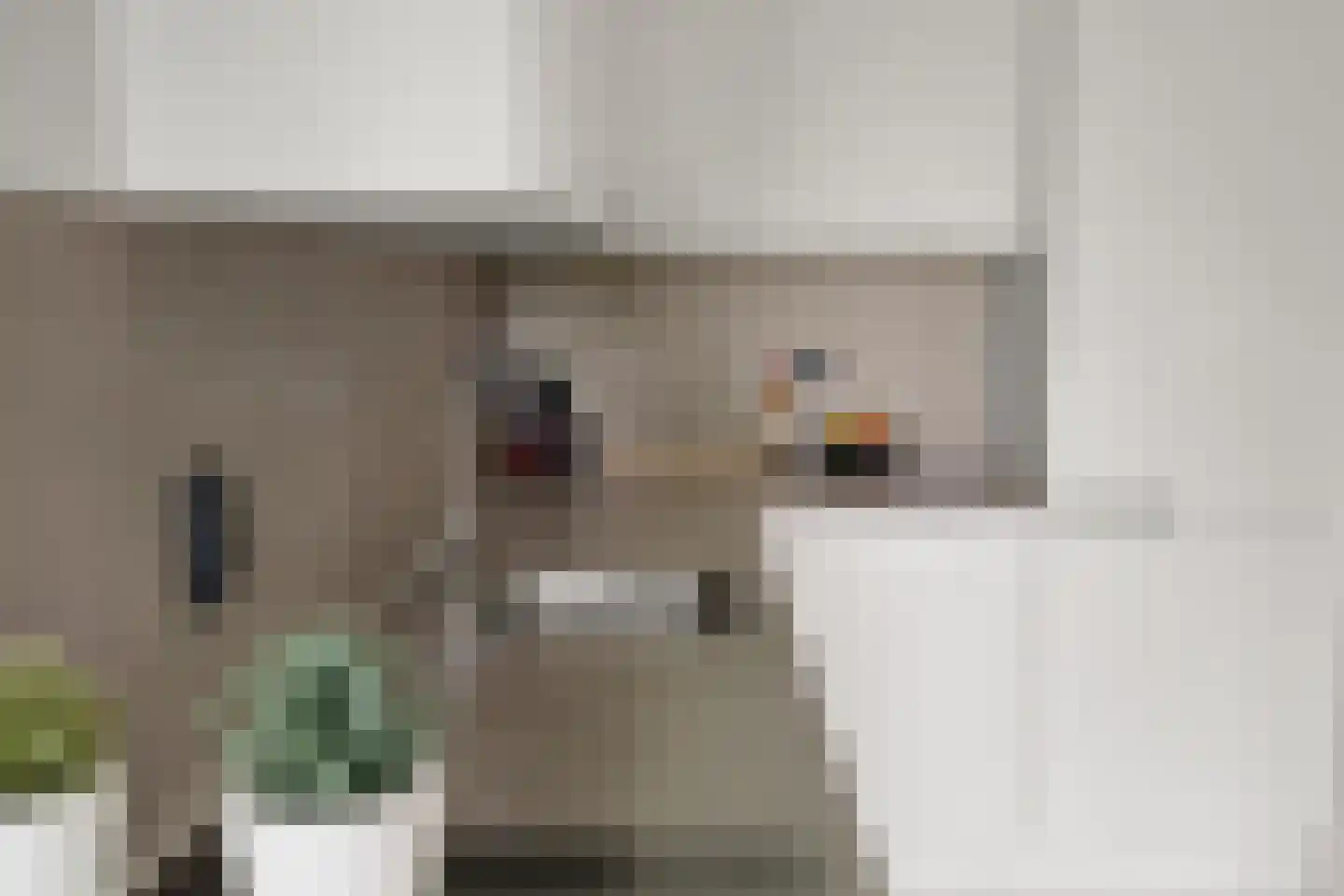 Zonnehout 47 Houten thumbnail 18