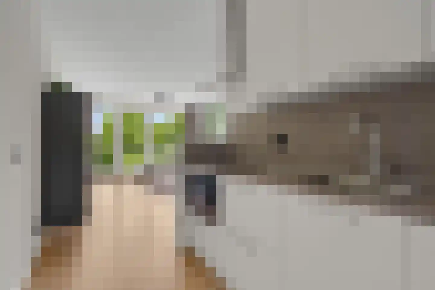 Zonnehout 47 Houten thumbnail 19