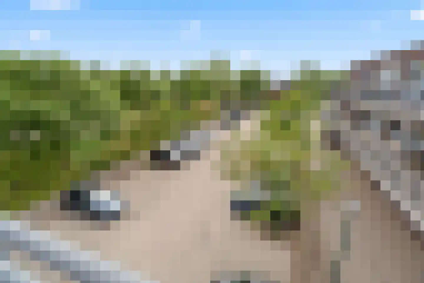 Zonnehout 47 Houten thumbnail 30