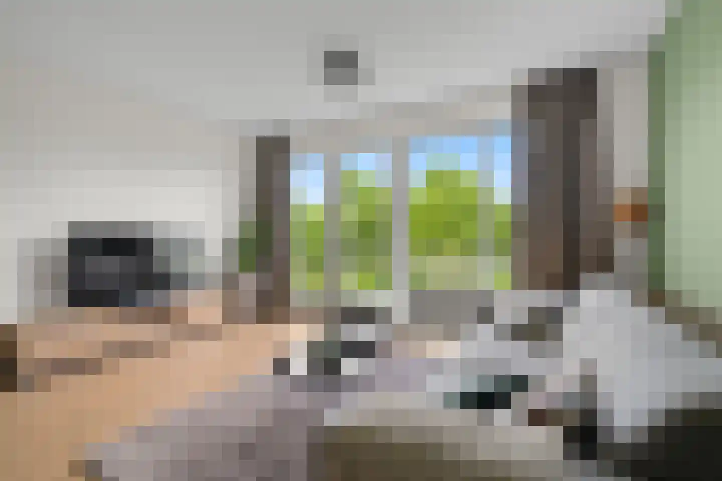 Zonnehout 47 Houten thumbnail 4