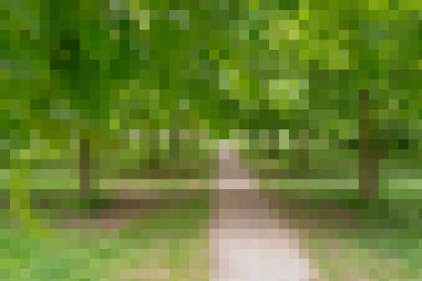 Zonnehout 47 Houten thumbnail 40