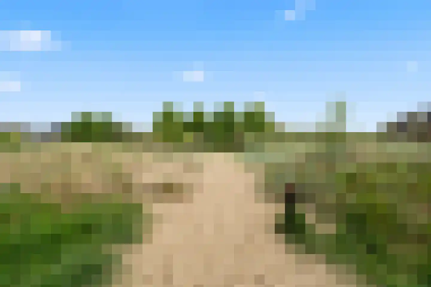 Zonnehout 47 Houten thumbnail 42
