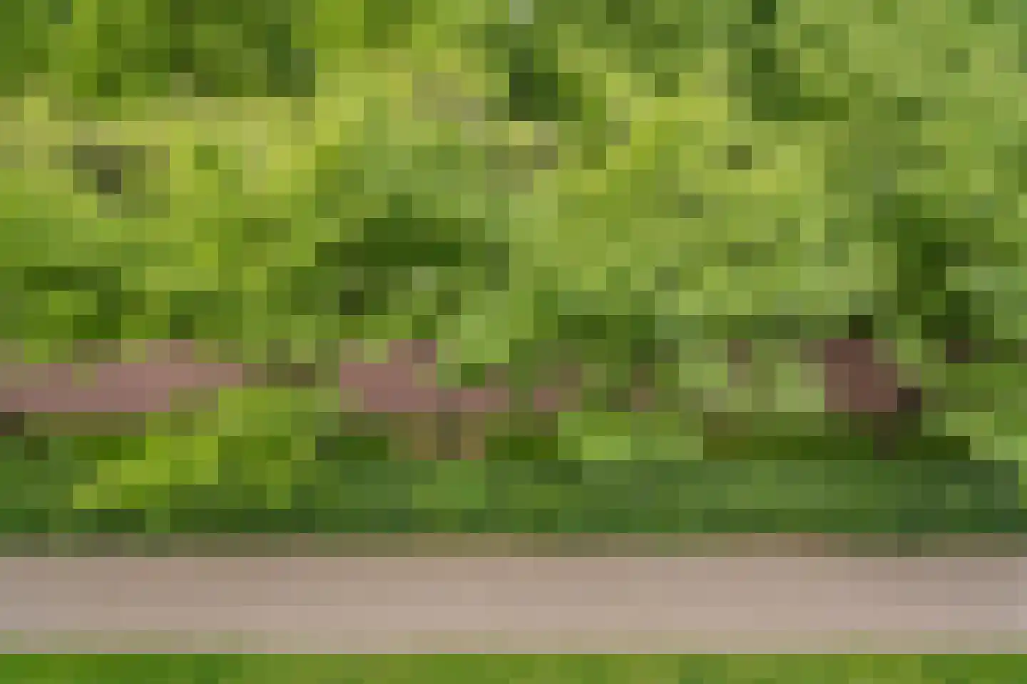 Zonnehout 47 Houten thumbnail 9