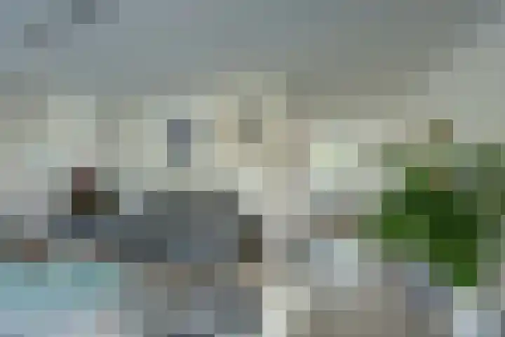 Zonnehoven 1 Zeewolde thumbnail 12