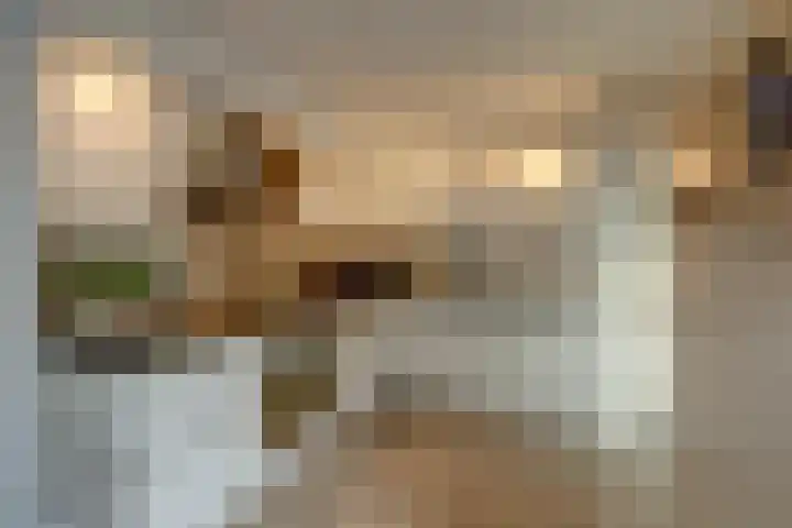Zonnehoven 1 Zeewolde thumbnail 14