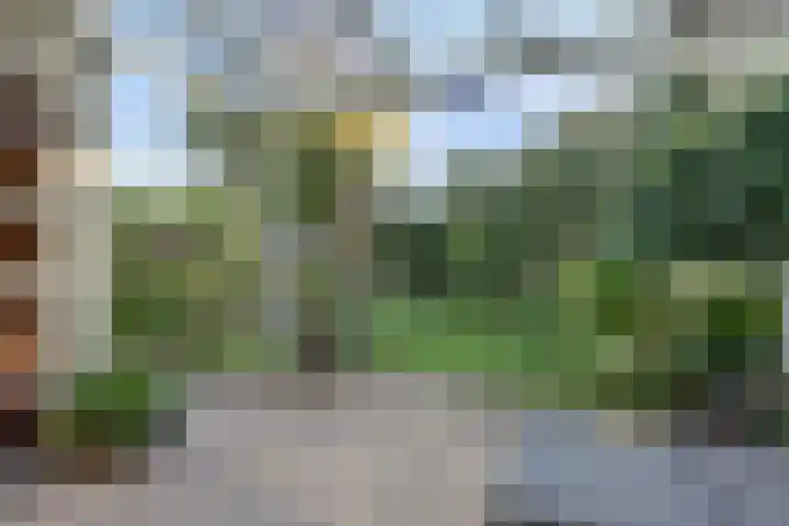 Zonnehoven 1 Zeewolde thumbnail 37
