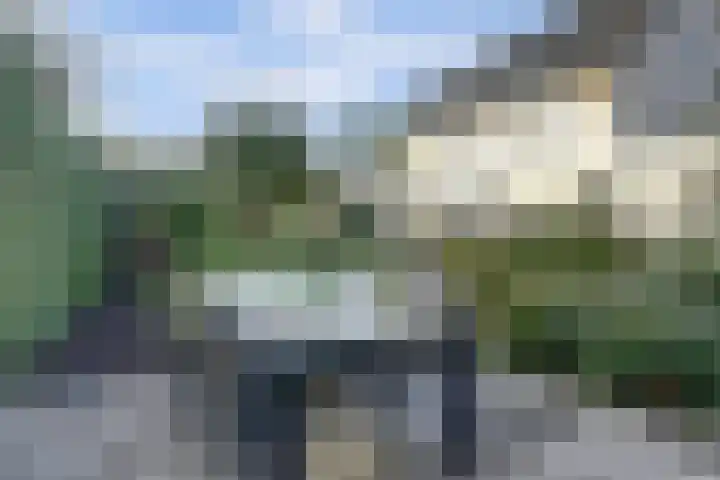 Zonnehoven 1 Zeewolde thumbnail 38