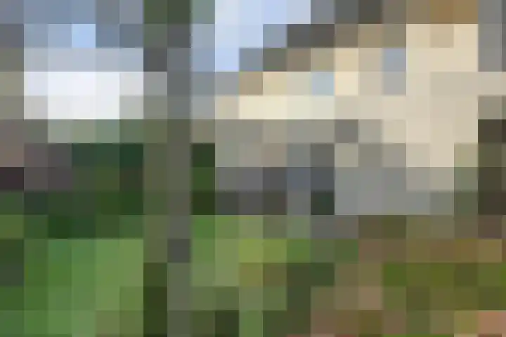 Zonnehoven 1 Zeewolde thumbnail 40