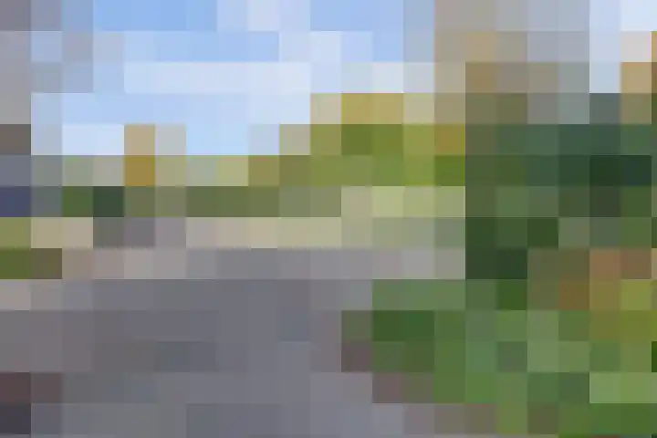 Zonnehoven 1 Zeewolde thumbnail 5