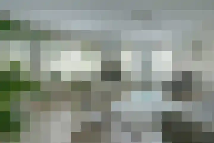 Zonnehoven 1 Zeewolde thumbnail 7