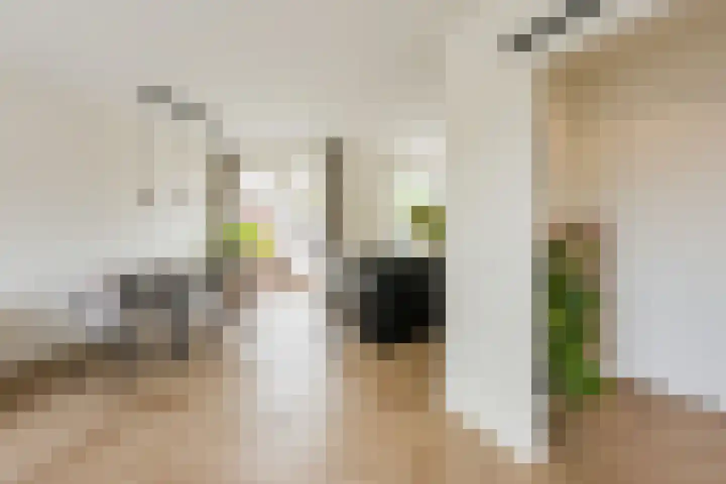 Zonnekant 15 Noordwijk thumbnail 17