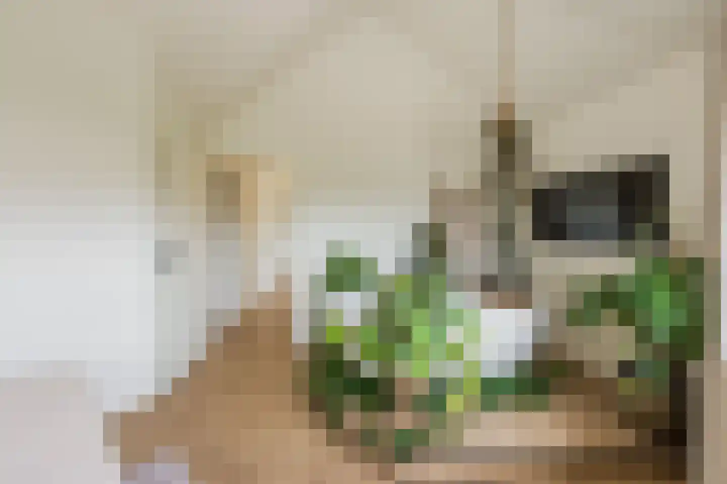 Zonnekant 15 Noordwijk thumbnail 30