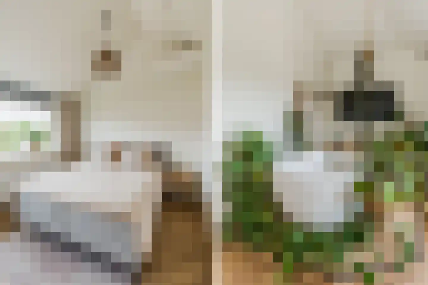 Zonnekant 15 Noordwijk thumbnail 31