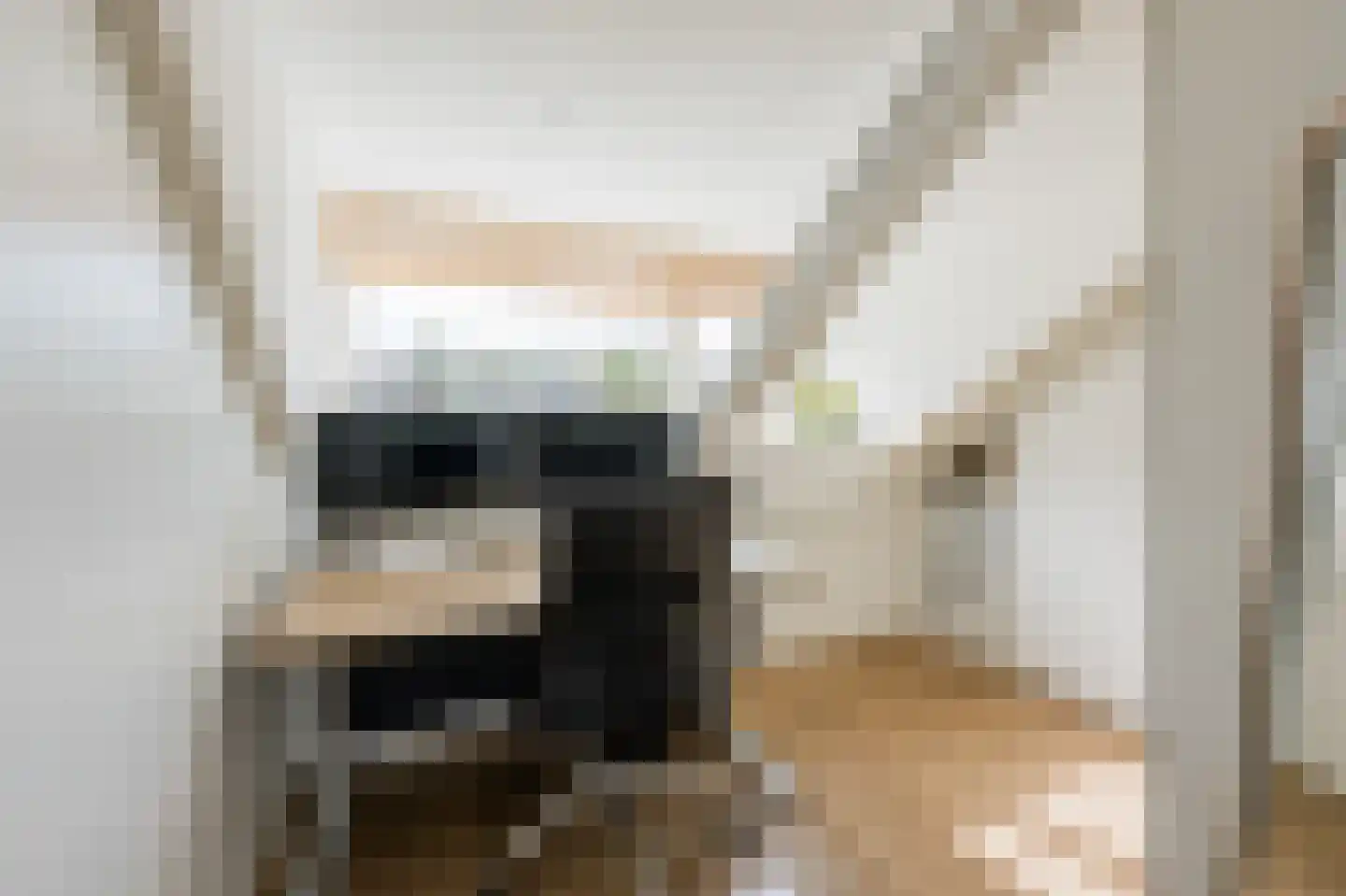 Zonnekant 15 Noordwijk thumbnail 35