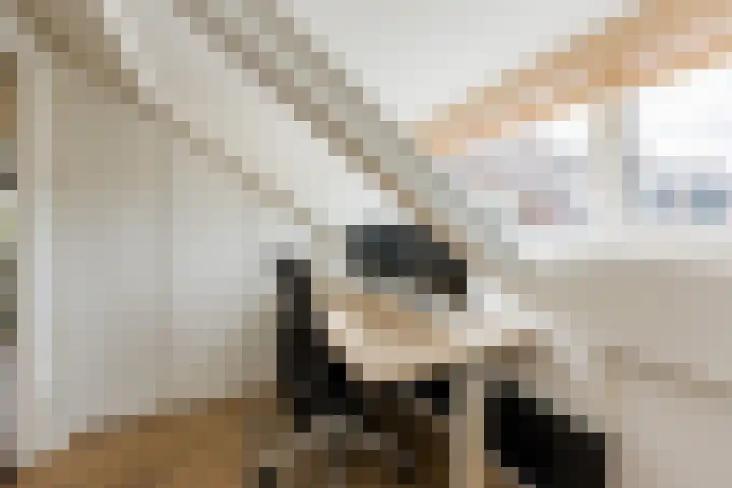Zonnekant 15 Noordwijk thumbnail 36