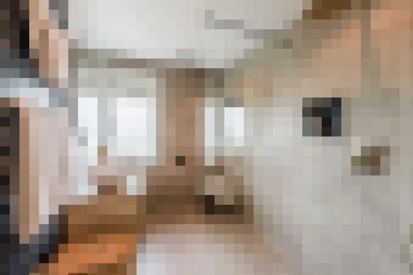 Zonnekant 15 Noordwijk thumbnail 39