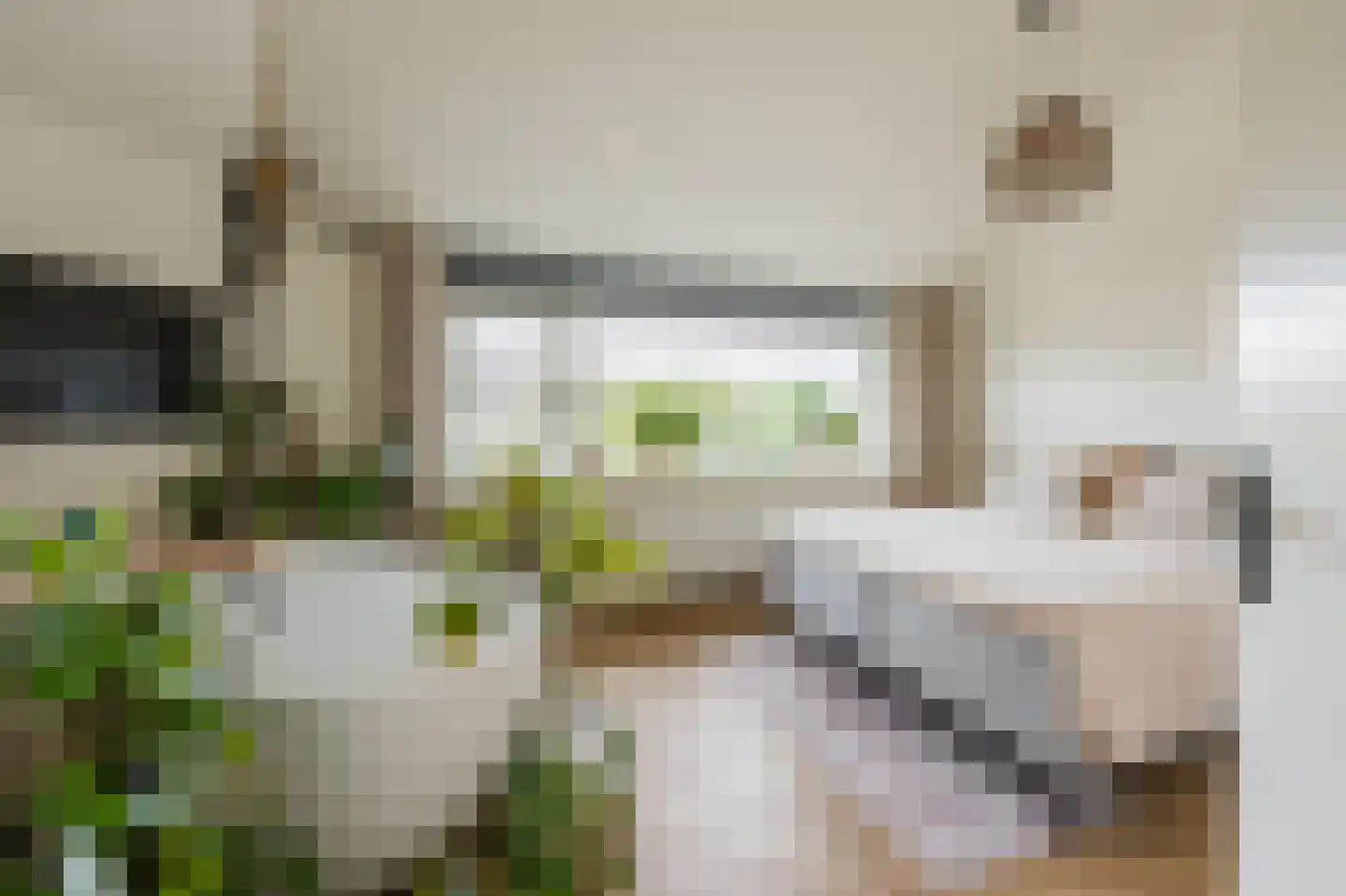 Zonnekant 15 Noordwijk thumbnail 4