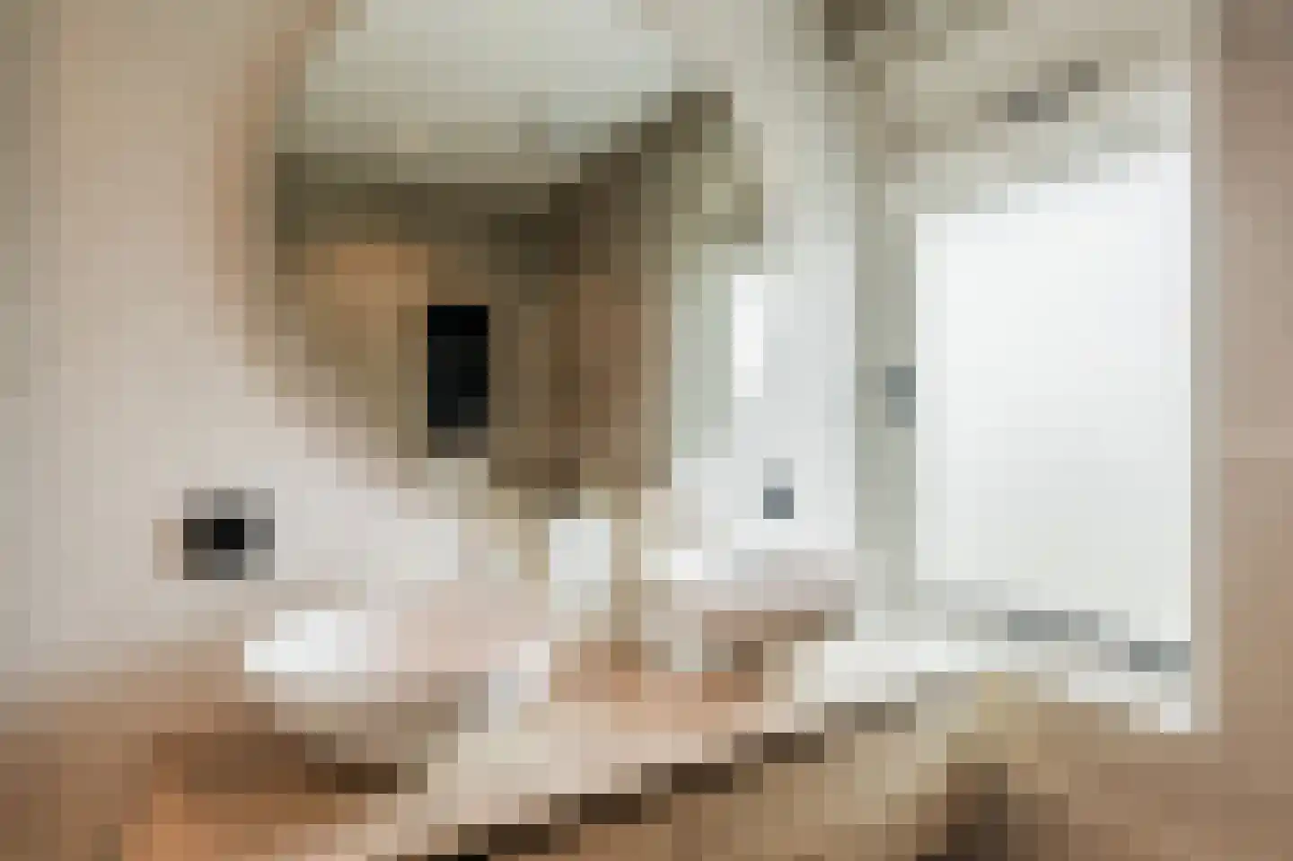 Zonnekant 15 Noordwijk thumbnail 41