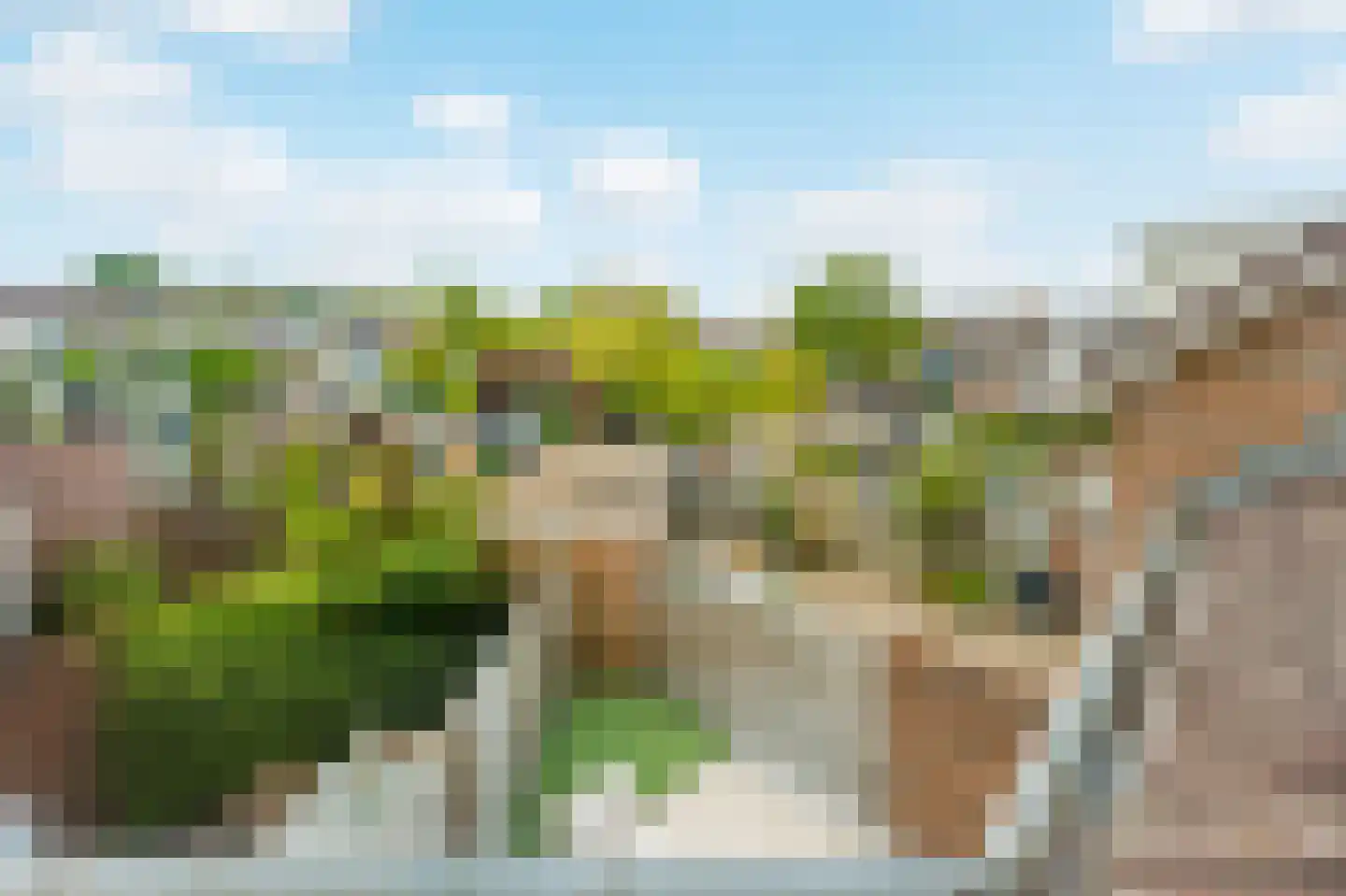 Zonnekant 15 Noordwijk thumbnail 50