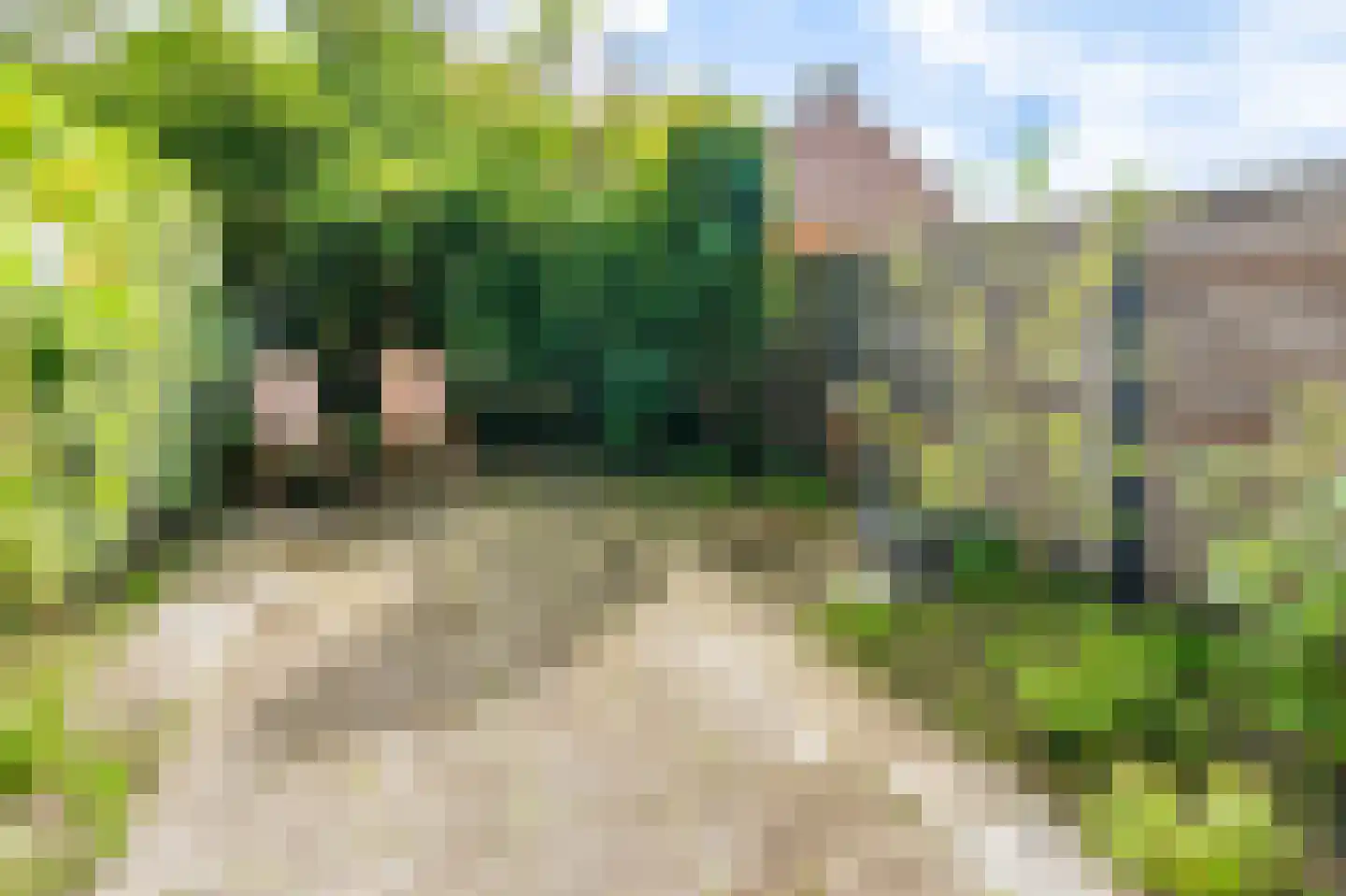 Zonnekant 16 Noordwijk thumbnail 36