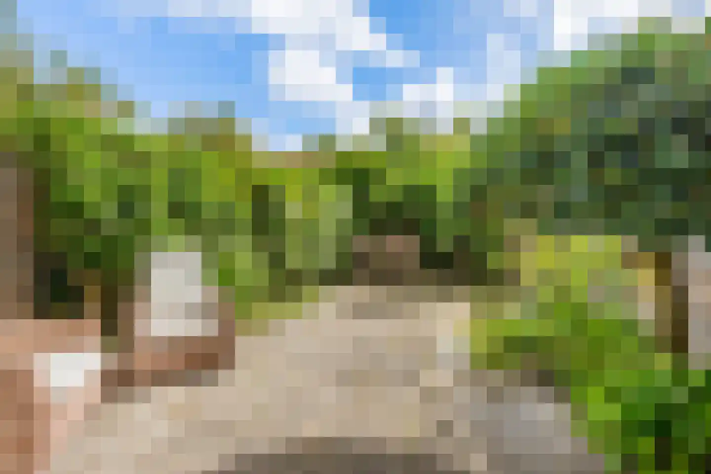 Zonnekant 16 Noordwijk thumbnail 37