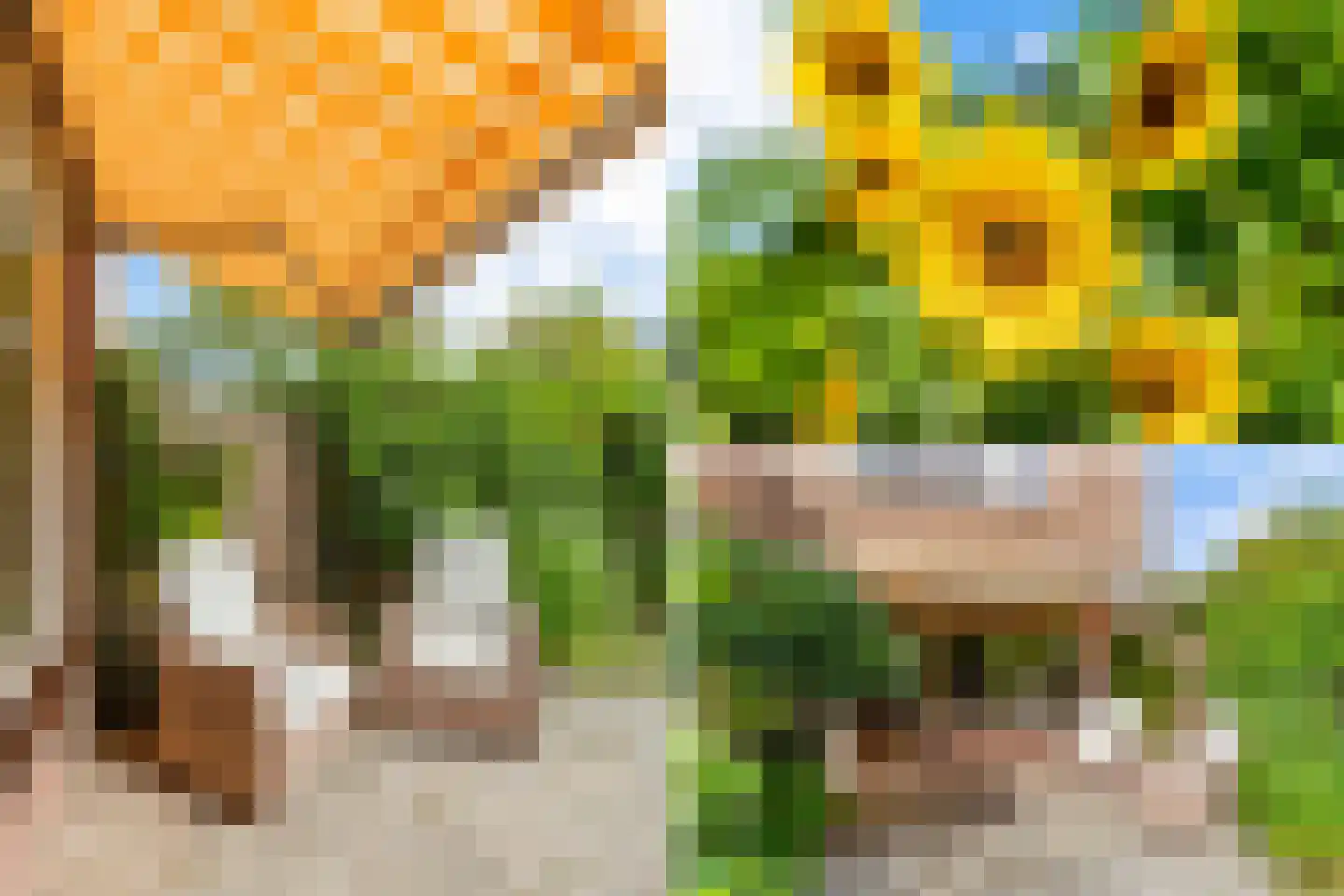 Zonnekant 16 Noordwijk thumbnail 38