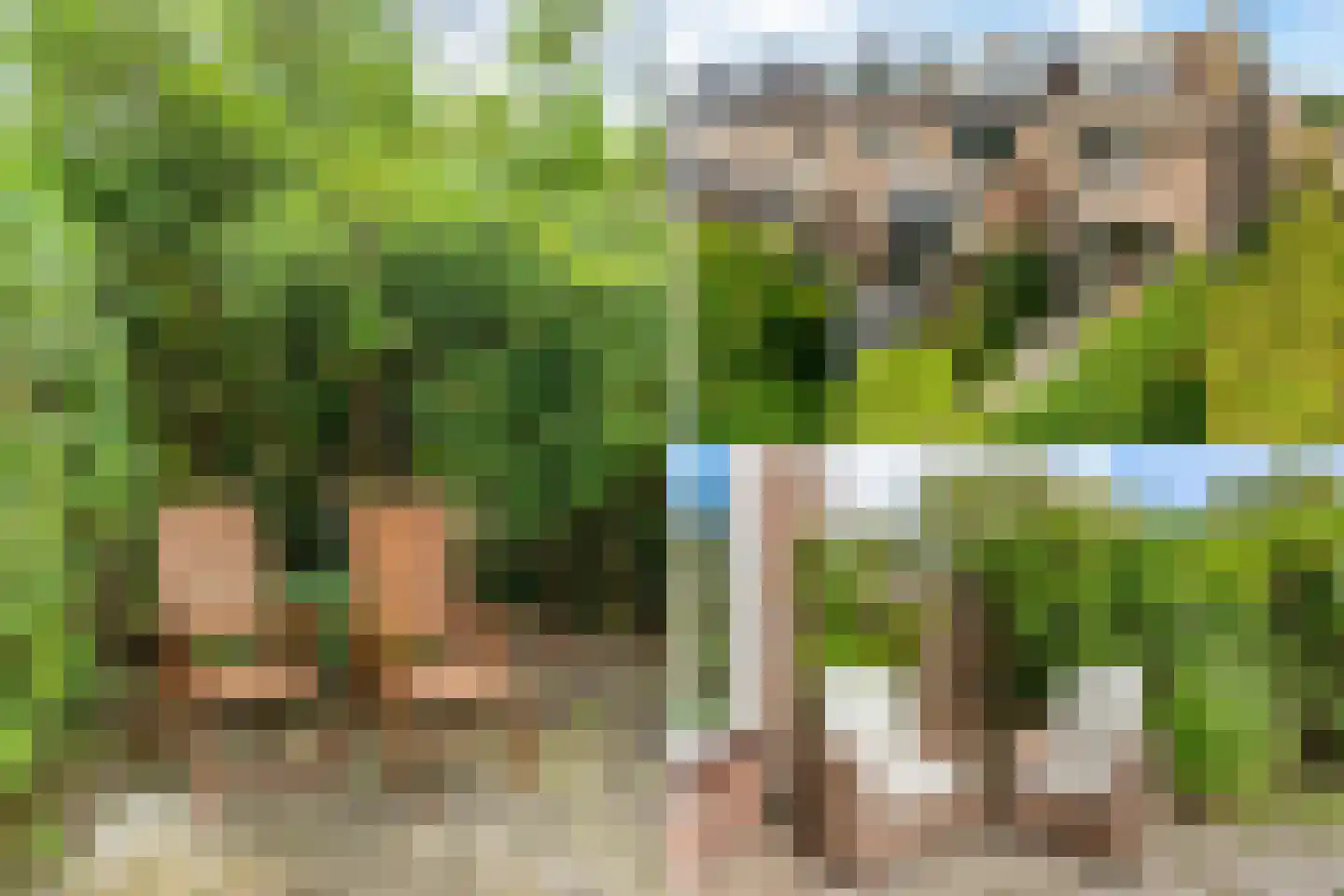 Zonnekant 16 Noordwijk thumbnail 39