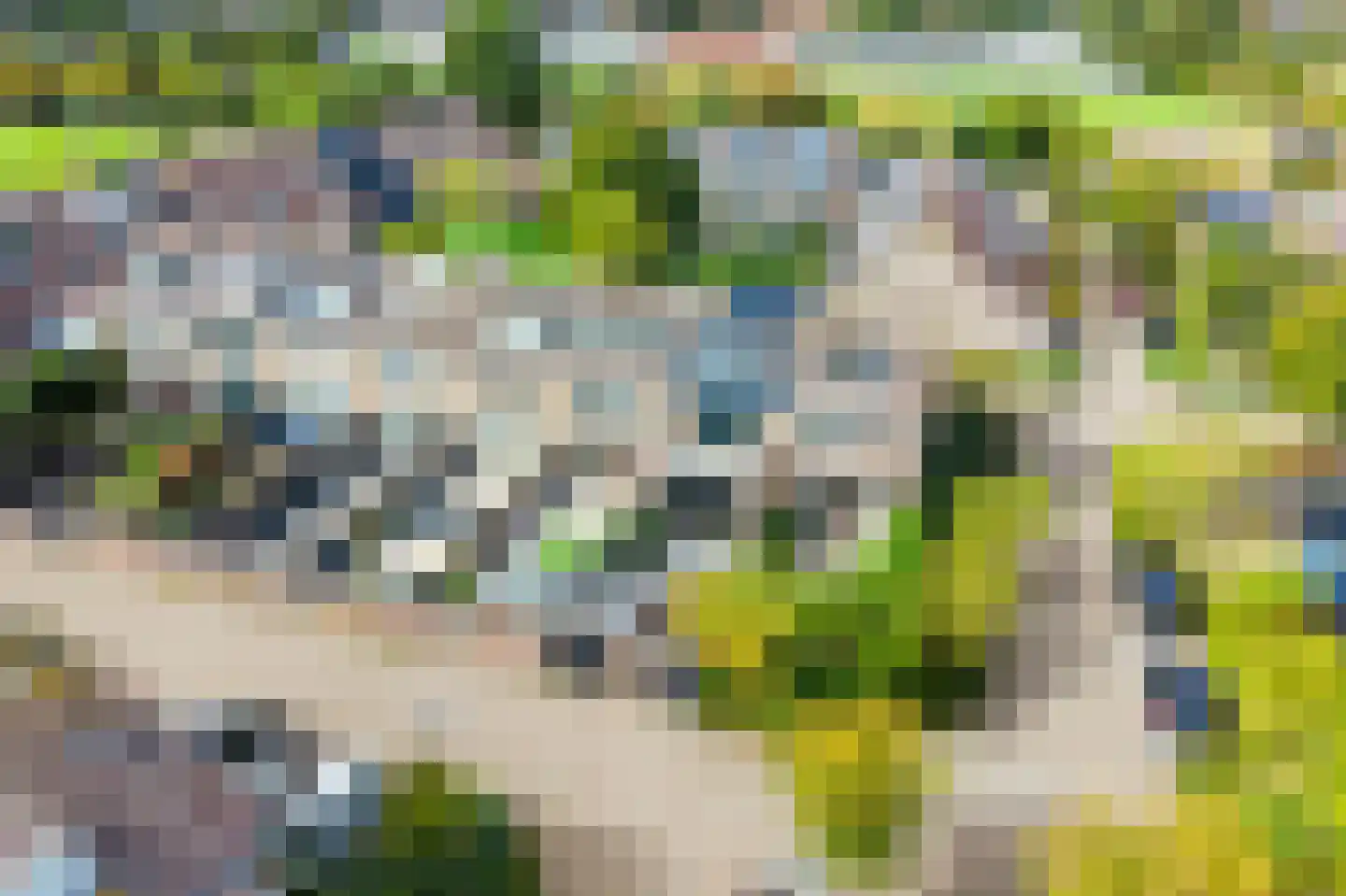 Zonnekant 16 Noordwijk thumbnail 41